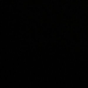 Meet your Posher, Shaun